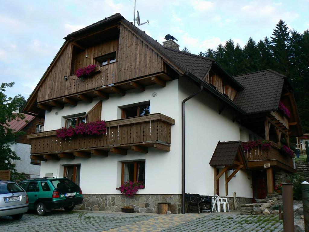 Apartmany U Vacu Zelezna Ruda Exterior photo